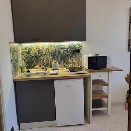 Monolocale Lungarno Apartment Pisa Exterior photo